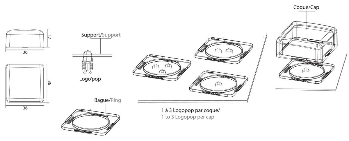 coque_quadro_logopop